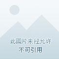 绝世凶兽 绝世凶兽