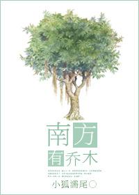 南方有乔木 南方有乔木