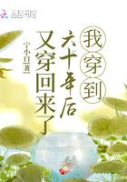 我穿到六十年后又穿回来了 我穿到六十年后又穿回来了